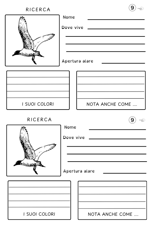 SCHEDA PER RICERCA SULLA STERNA SCHEDA PER DUE BAMBINI PER ESEGUIRE LA RICERCA