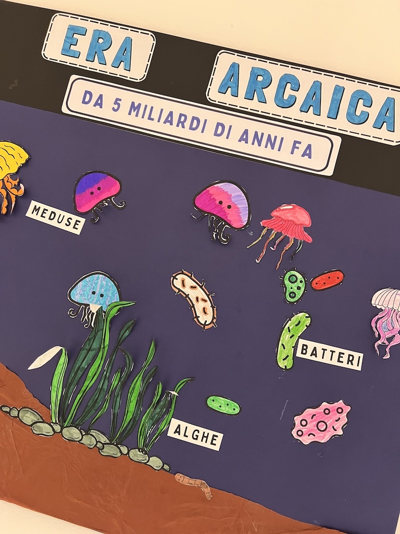 ERA ARCAICA: ALGHE E MEDUSE particolare era arcaica