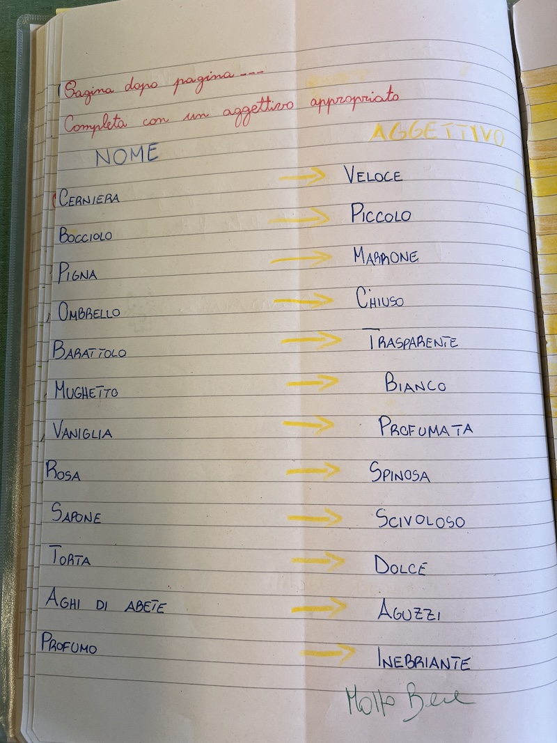 ESERCIZIO PARTENDO DALL’ALBO ESERCIZIO SUL QUADERNO CON I NOMI PRESI DAL LIBRO