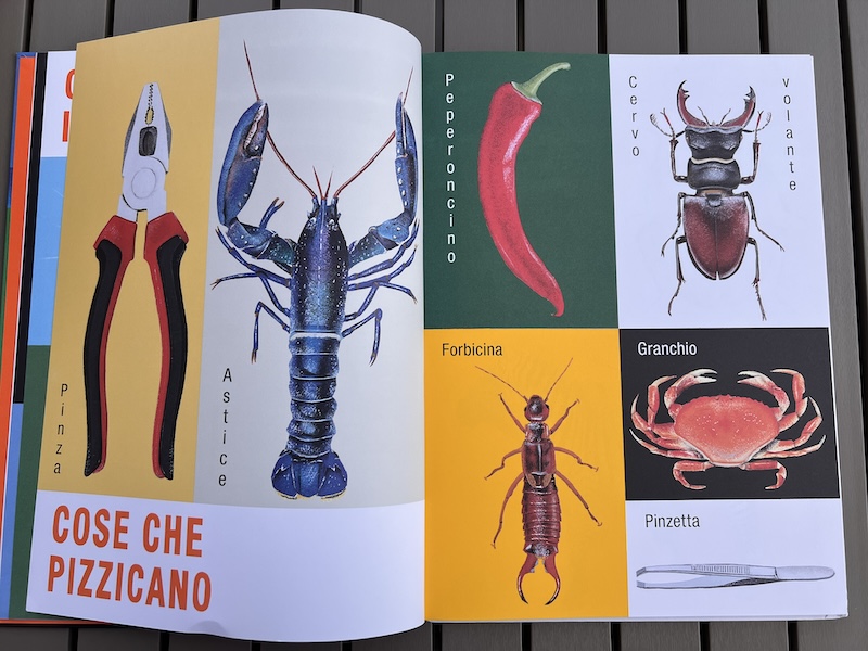 IMMAGINI DEL LIBRO TAVOLA CON IMMAGINI TRATTA DALL'ALBO ILLUSTRATO