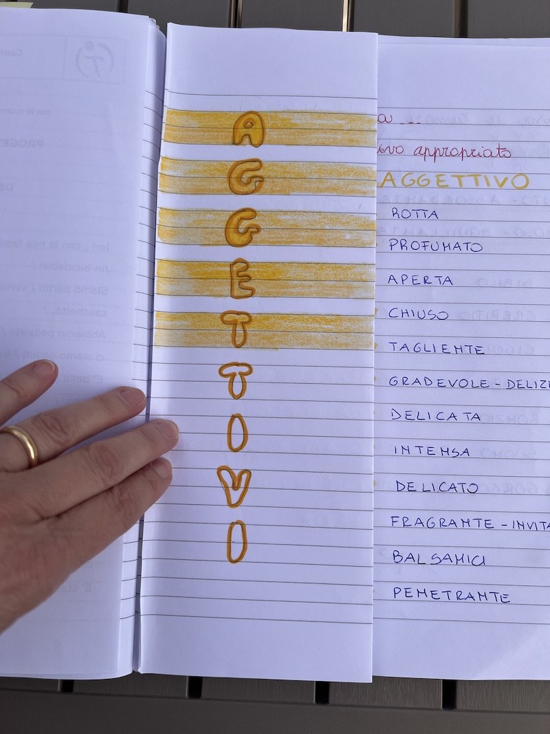 PAGINA – TITOLO PAGINA - TITOLO IN REALIZZAZIONE SUL QUADERNO
