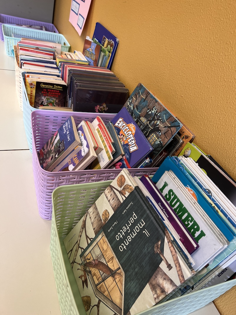 II LIBRI NEI CESTI VISTA_DEI_CESTI_CON_I_LIBRI