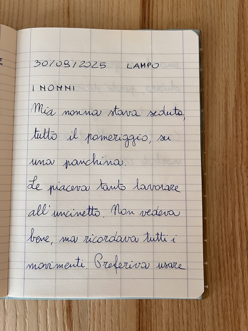 IL MIO LAMPO DI SCRITTURA A TEMA NONNI