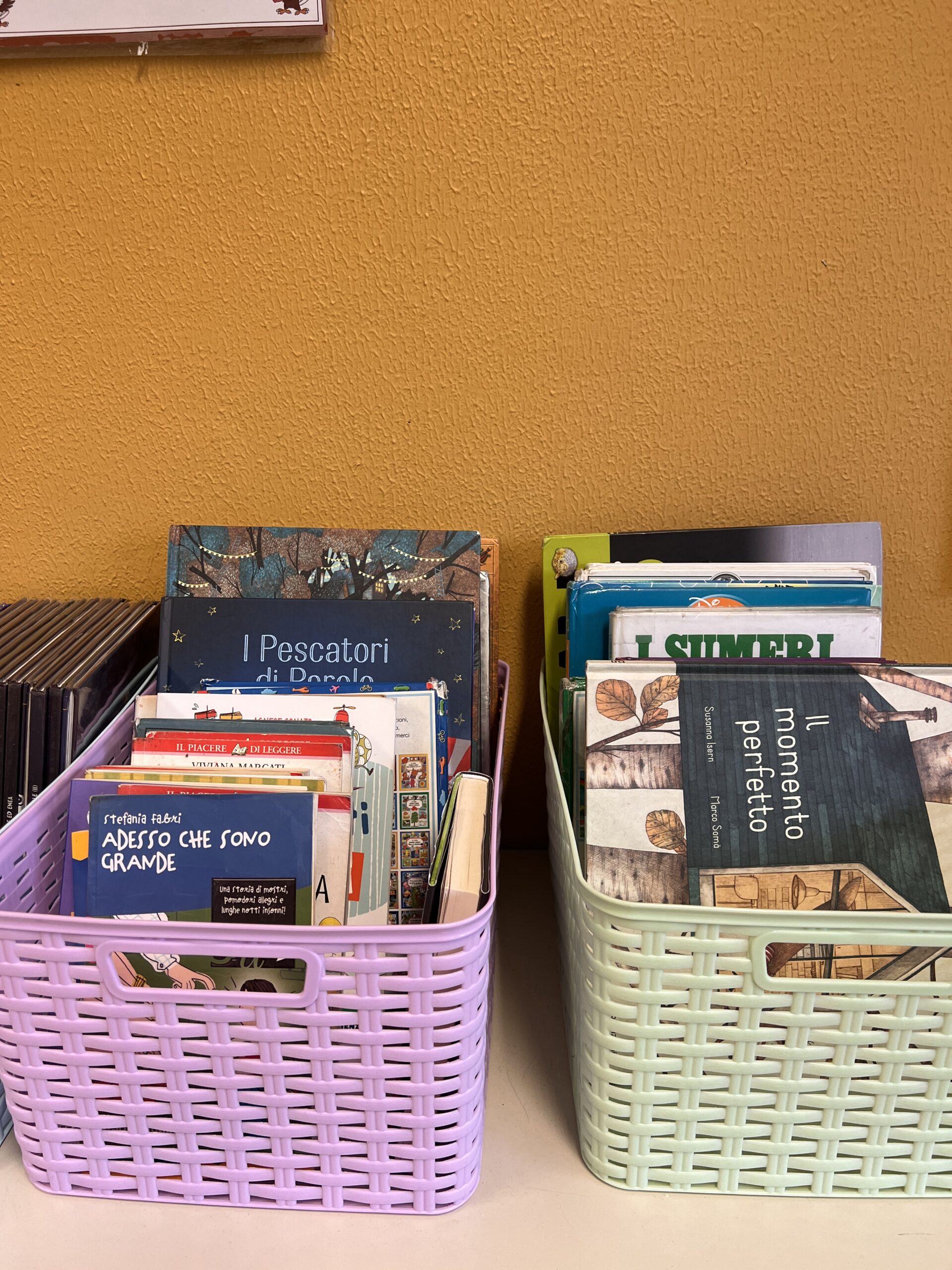 PARTICOLARE CESI COLORATI BIBLIOTECA_ORGANIZZATA_IN_CESTI