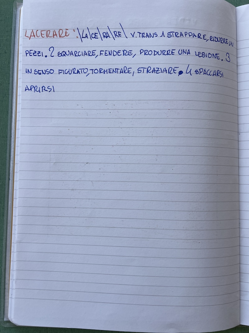 RICERCA DI UN TERMINE SUL VOCABOLARIO