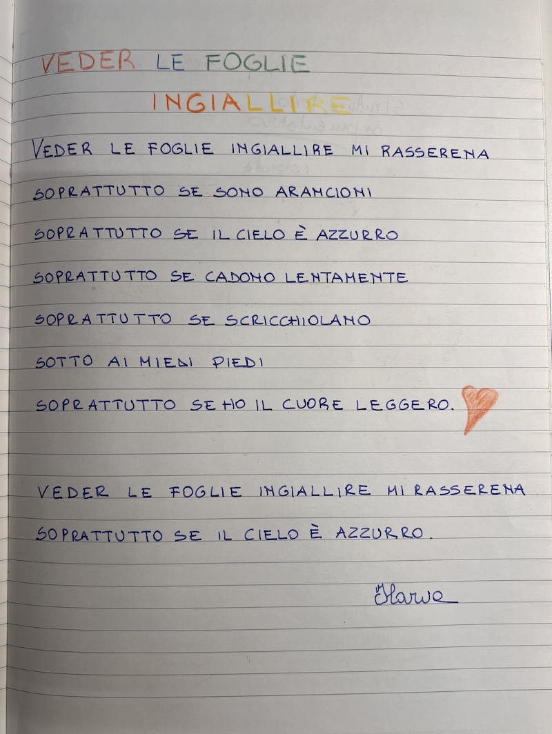 LA POESIA SUL MIO QUADERNO
