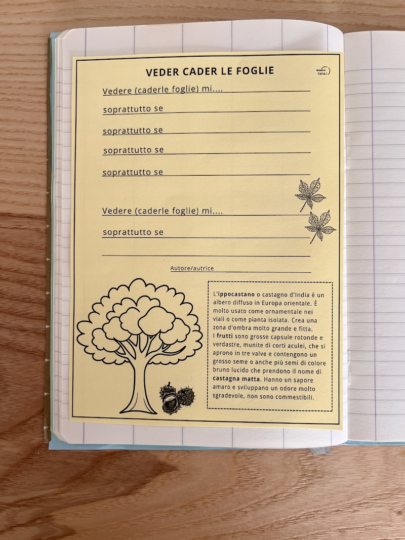 STRUTTURA DELLA POESIA FORNITA AI BAMBINI