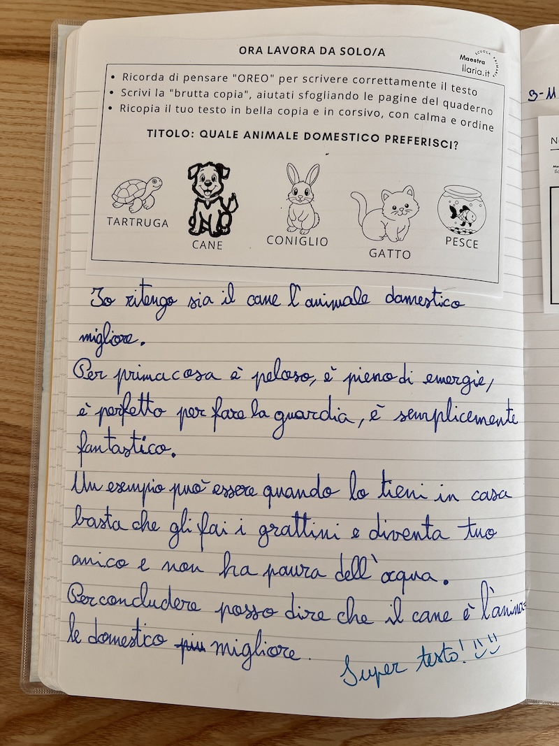 ESEMPIO DI TESTO SCRITTO SUL QUADERNO