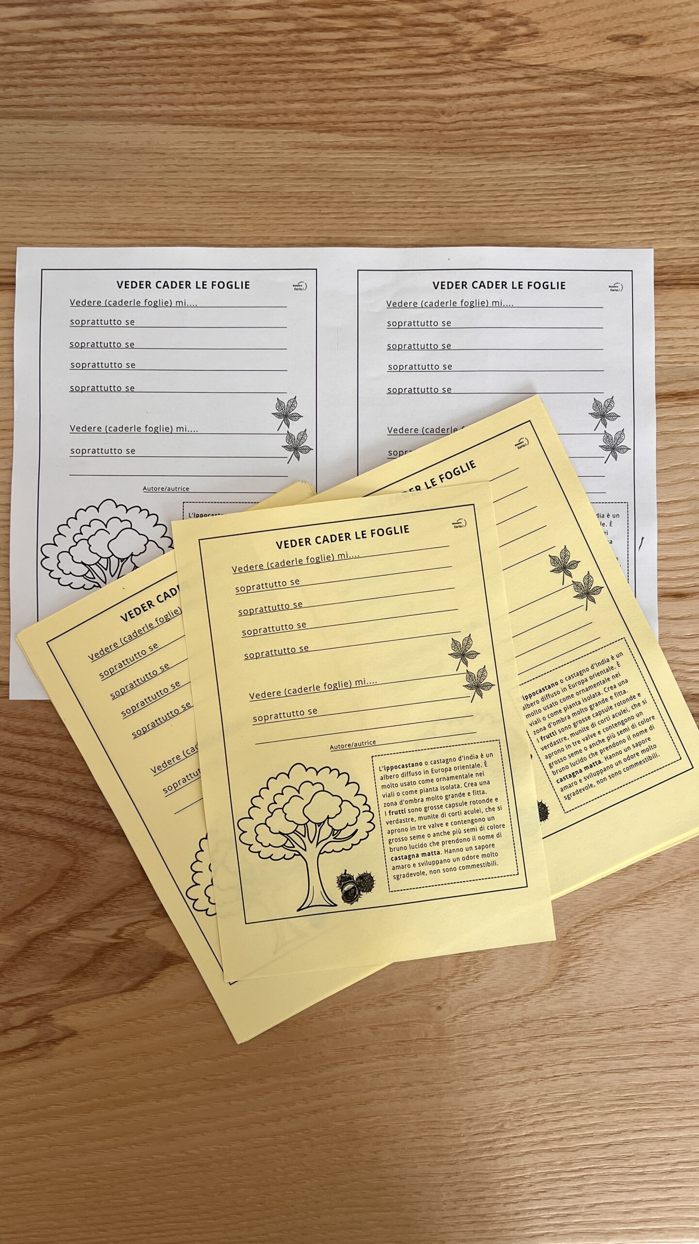 MATERIALI FOTOCOPIATI