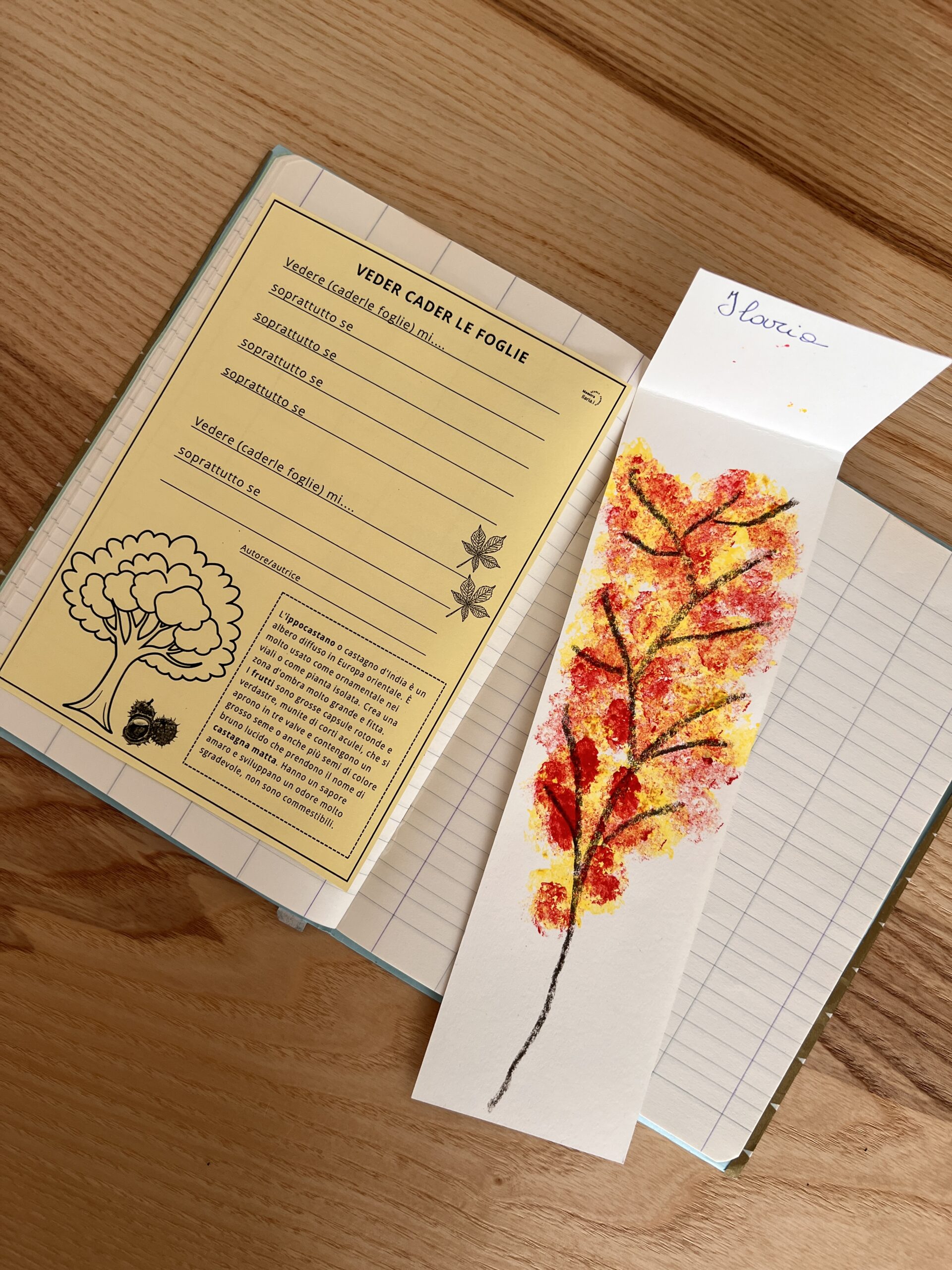 LA STRUTTURA DELLA POESIA CON IL SEGNALIBRO REALIZZATO IN PRECEDENZA