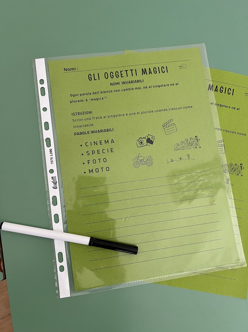SCHEDE NELLE BUSTE SCHEDA _DIDATTICA_PER_ESERCIZIO_SUI_NOMI_INVARIABILI