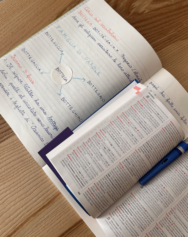 FAMIGLIA DI PAROLE CON VOCABOLARIO IL VOCABOLARIO E IL QUADERNO APERTI