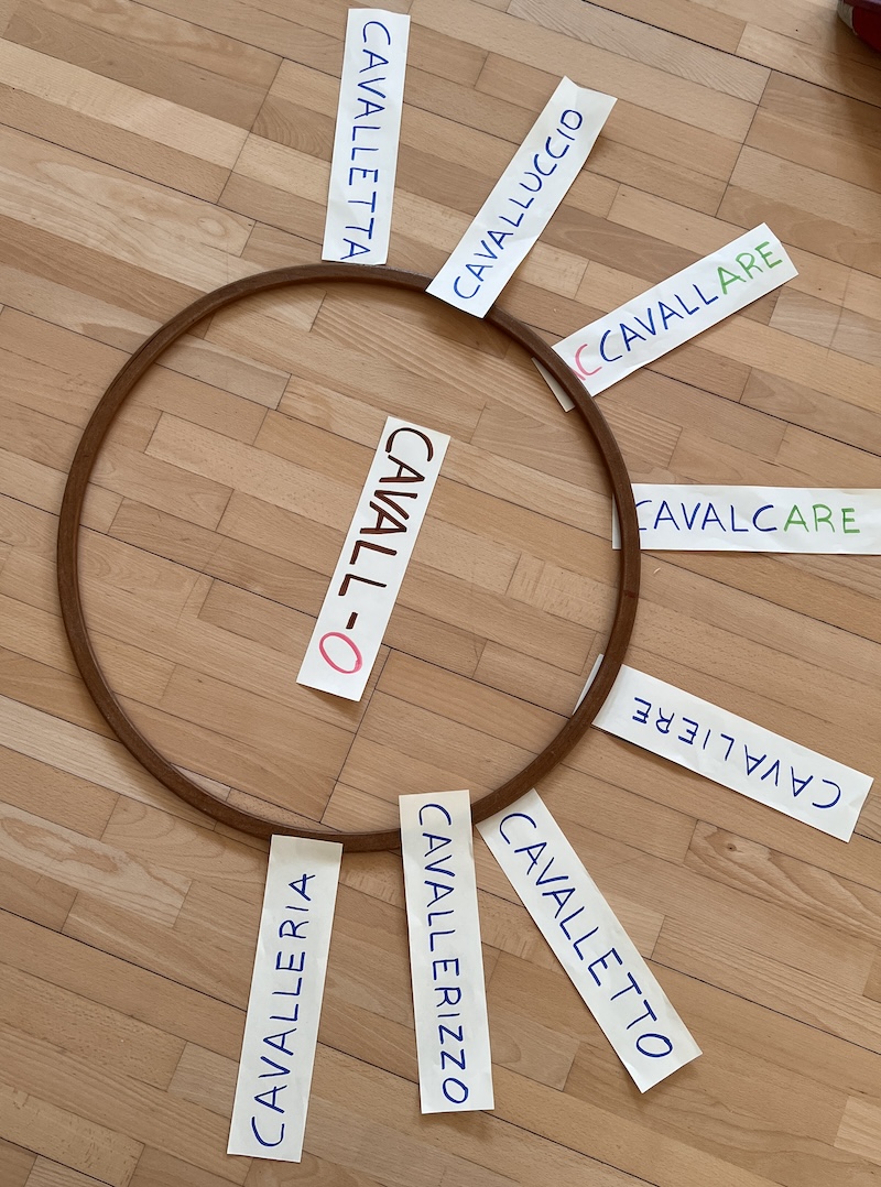 IL CERCHIO SI COMPLETA GIOCO IN PALESTRA