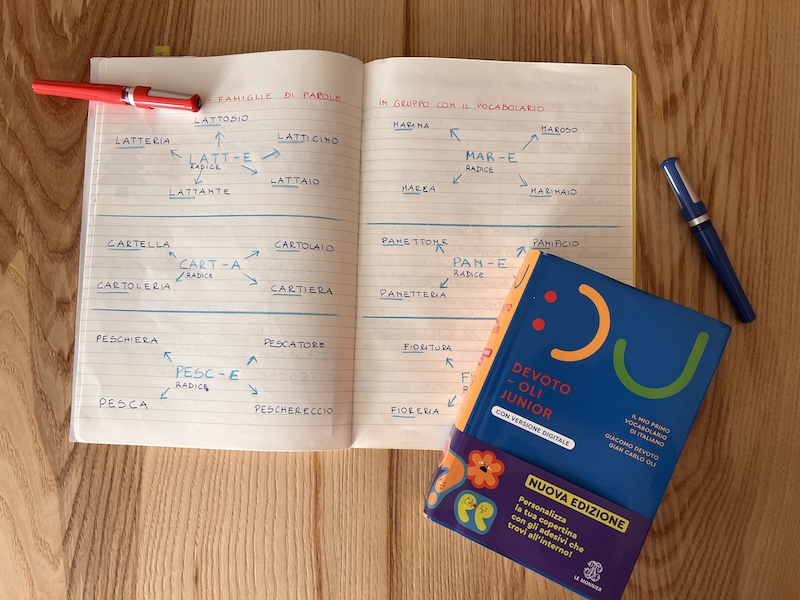 LA LAVORO SULLE PAROLE IL LAVORO SUL MIO QUADERNO