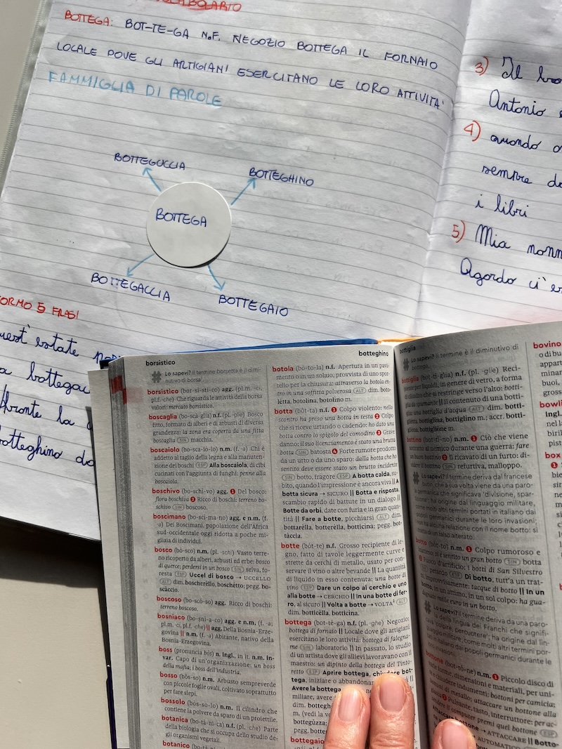 RICERCA DI BOTTEGA SCHEMA SUL QUADERNO E RICERCA SUL VOCABOLARIO