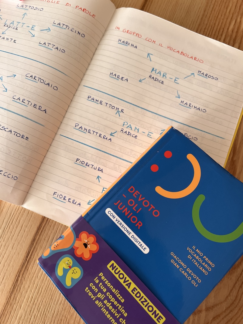 VOCABOLARIO E LESSICO LAVORO SUL QUADERNO CON IL VOCABOLARIO