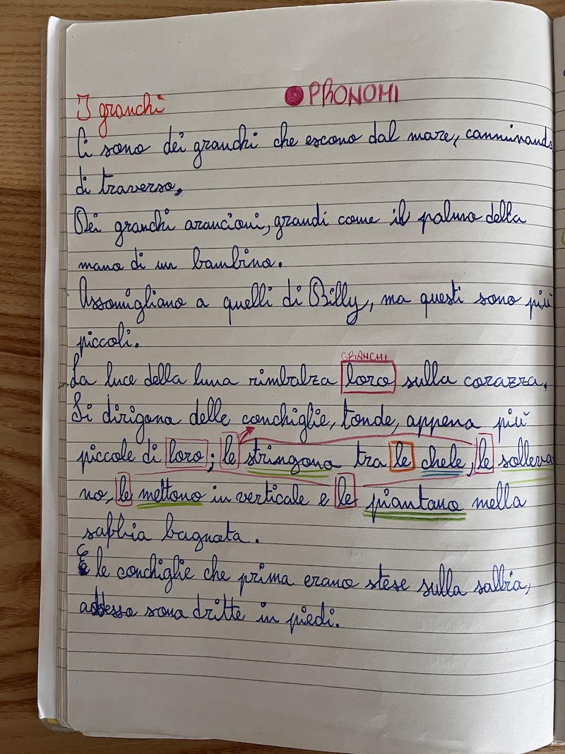 Riscrittura di un testo sul quaderno