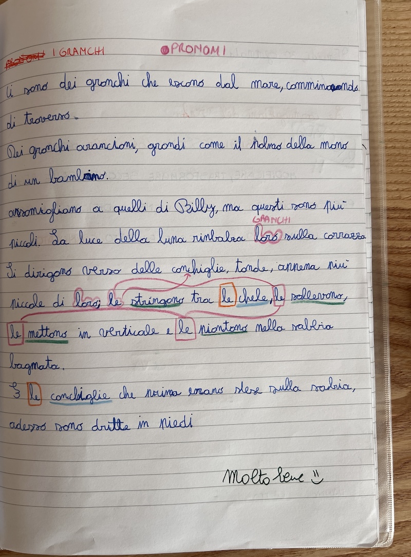 Riscrittura di un breve testo al plurale e riflessione sull'uso dell'articolo come pronome