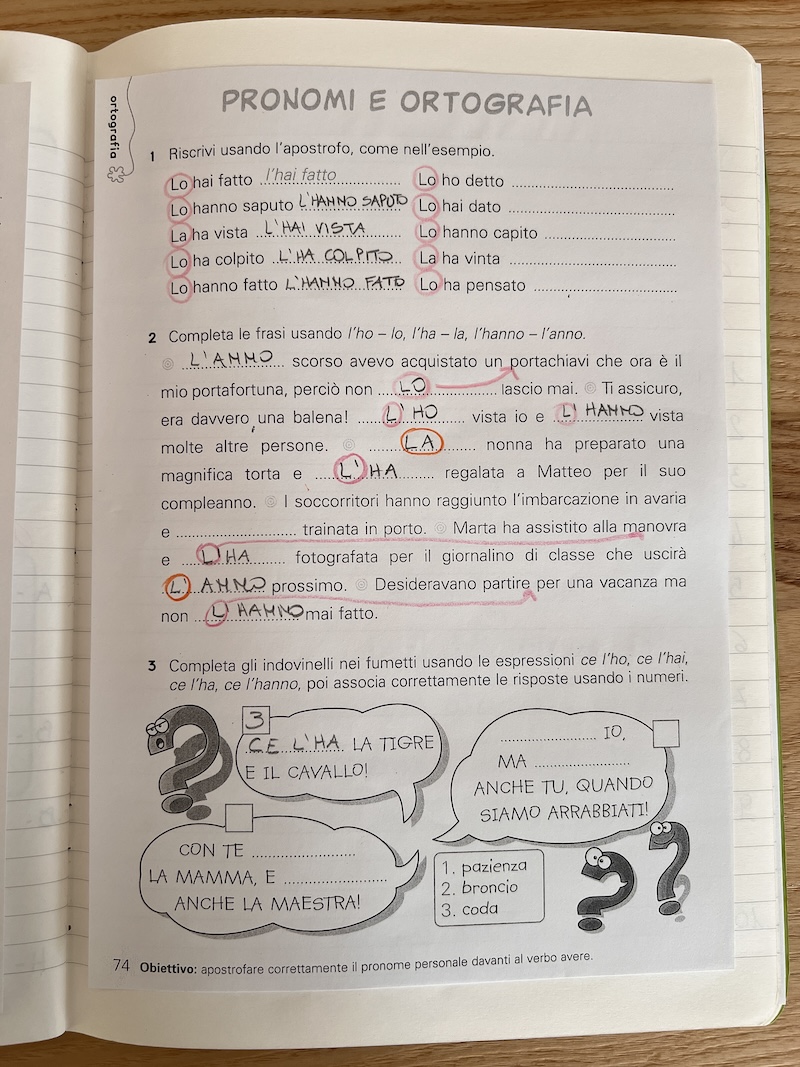 SCHEDA PER RIFLETTERE SU ORTOGRAFIA E MORFOLOGIA