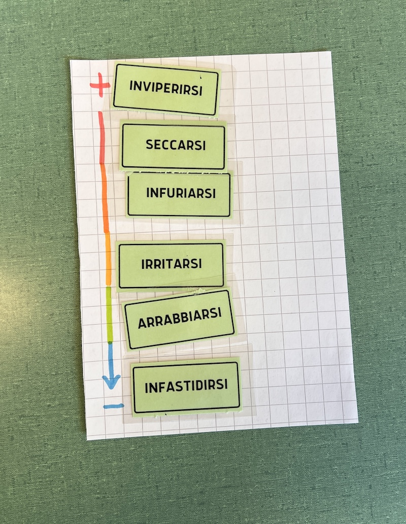 RIORDINO DEI VERBI 1 voci verbali riordinate