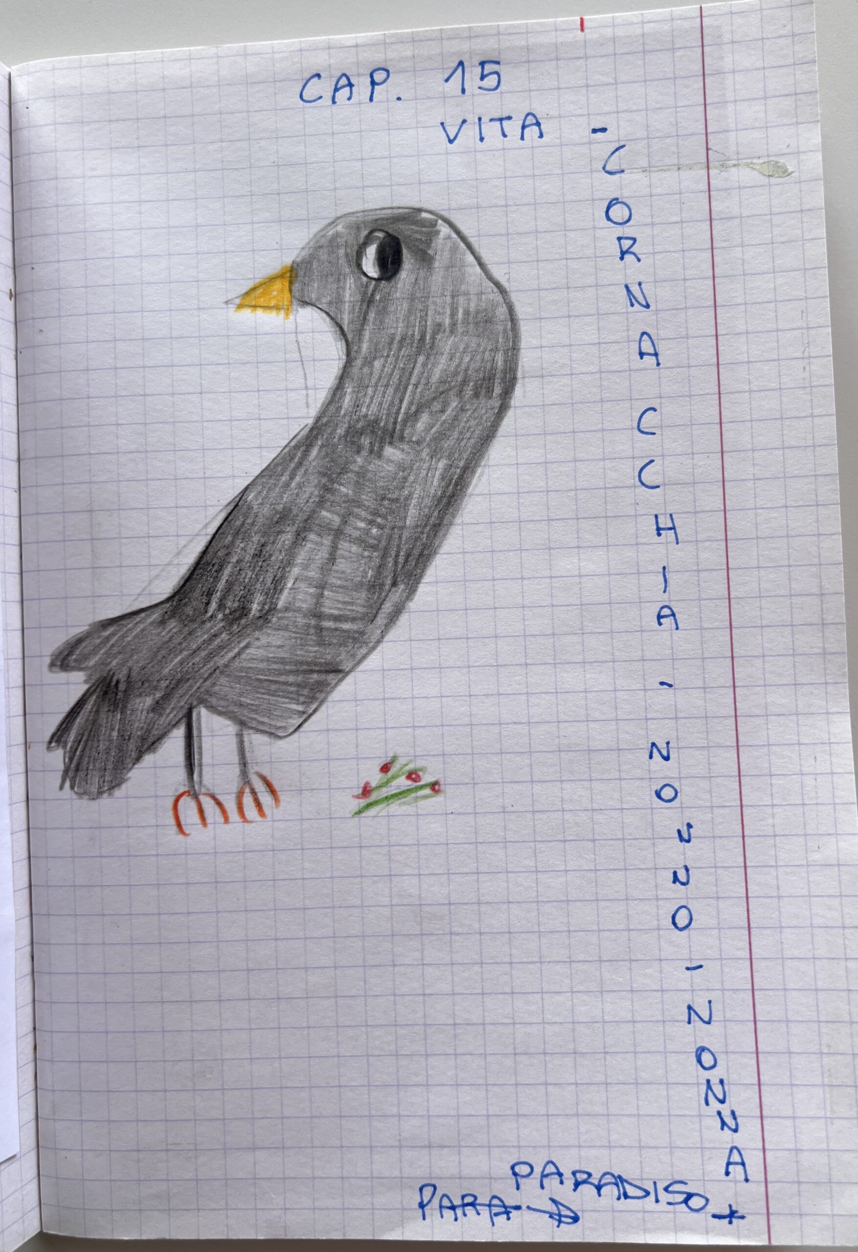 ULTIMO DISEGNO